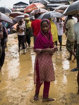 مسلمي الروهينغيا 