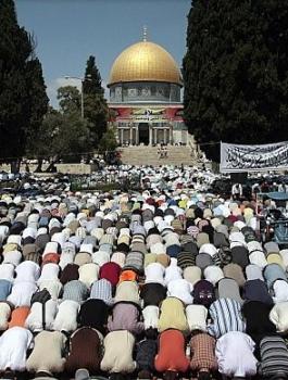 374a5e3c30a2fc053ec285824e0e76c7