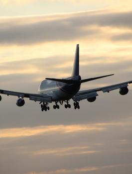 جواز السفر الاماراتي