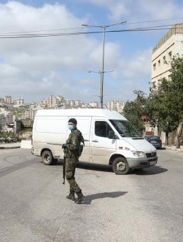 بيتونيا وغنام 