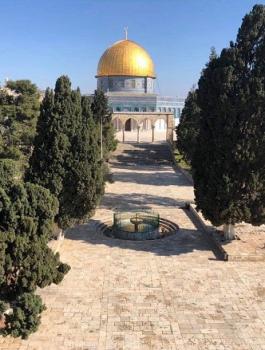 aqsa89334313u9