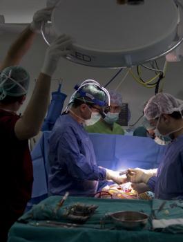 وزارة الصحة الفلسطينية 