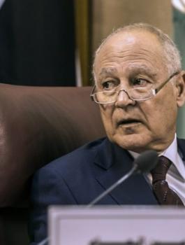 احمد ابو الغيط 