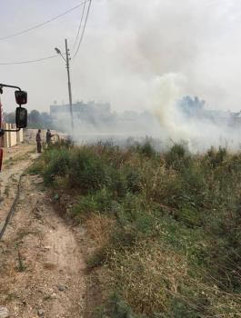 13346828_1100394890002140_8663196509637738274_n