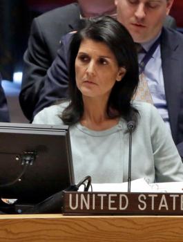 النظام السوري: هايلي تحرض الإرهابيين على استخدام السلاح الكمياوي