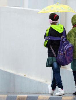 main_image5e2b1f7881c91