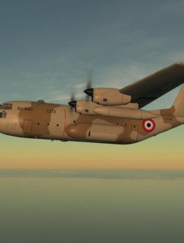 الجيش المصري يدمر 10 سيارات