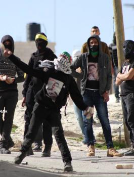 اعتقال فتية من تقوع 