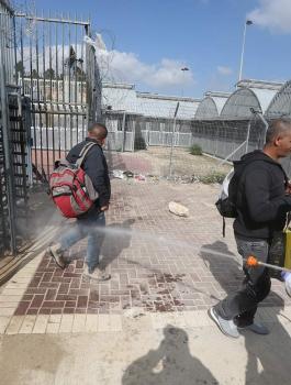 العمال الفلسطينيين 