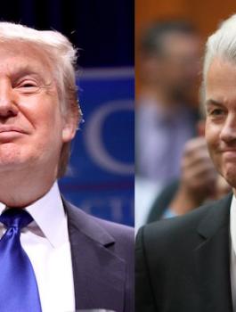 برلماني هولندي وترامب 