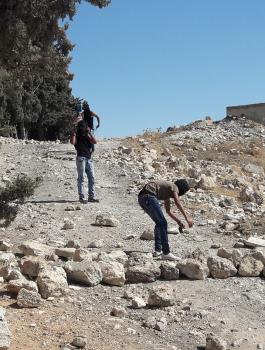 مواجهات في تقوع 