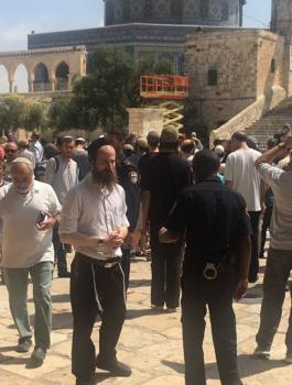 المستوطنون يقتحمون المسجد الأقصى 