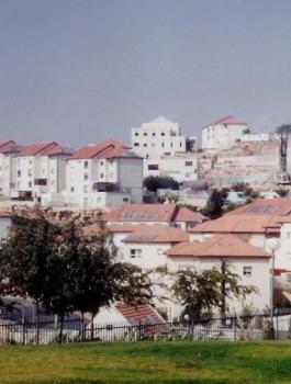 الاتحاد الاوروبي والضم الاسرائيلي 