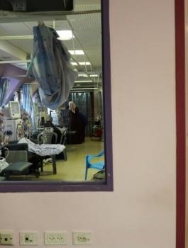 النقابات المهنية ووزارة الصحة الفلسطينية 