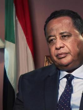 ترسيم الحدود بين السعودية ومصر 