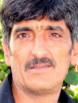 عماد ابو شمسية 