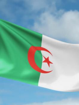 جزائري وبريطانيا 