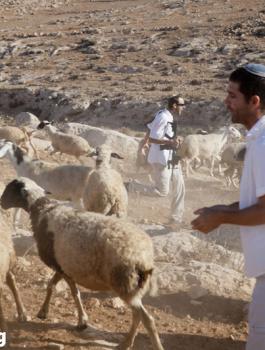 عنف المستوطنين في الضفة الغربية 