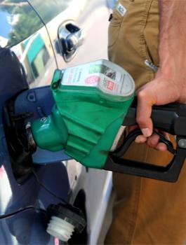 ارتفاع اسعار الذهب 