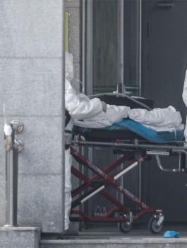 الوفيات بكورونا والعزاب 