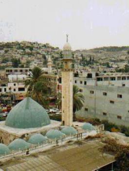 جنين