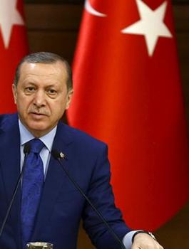 النمسا واردوغان 