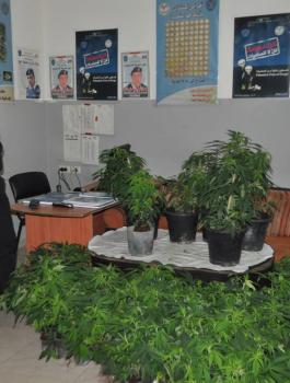 12622348_10153596628728801_7418608279247008324_o