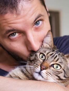 القطة والرجل الاعزب 