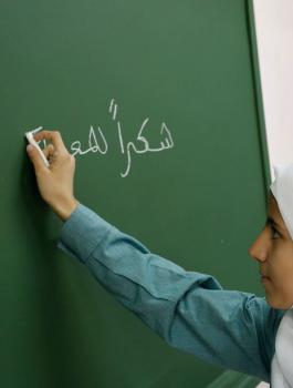 اعداد الاميين في فلسطين 