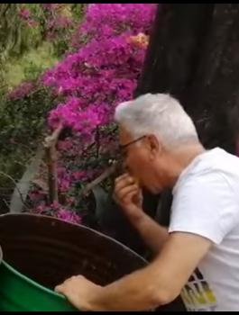 فنان لبناني 