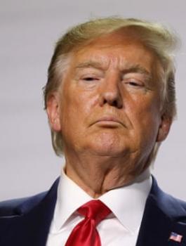 ترامب والديمقراطيين 