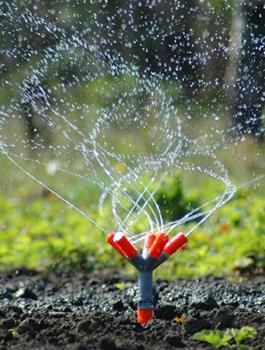 السجن عامين لمزارع من جنين بتهمة ري مزروعاته بالمياه العادمة