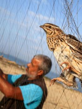 GettyImages-1167367853