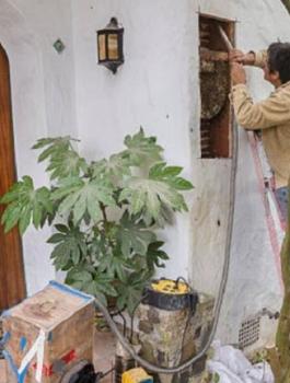 الازواج والنحل 