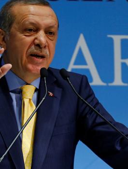 النمسا واردوغان 
