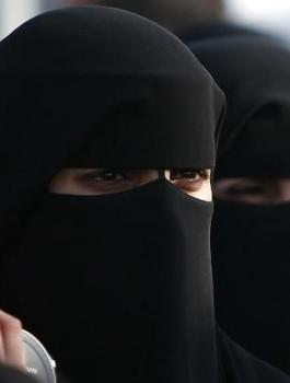 سرقة قطريتين في فرنسا 