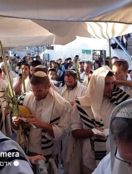 اقتحام المستوطنين للمسجد الأقصى المبارك 