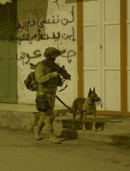 اعتقالات في الضفة الغربية 