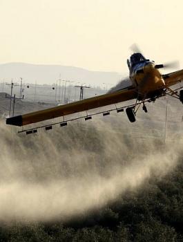 رش اراضي الفلسطينيين بالمبيدات السامة 