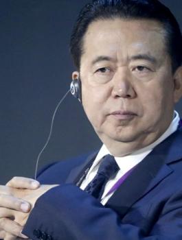 اختفاء مدير الشرطة الدولية الانتربول 