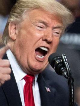 ترامب والعلاقة مع ممثلة امريكية  