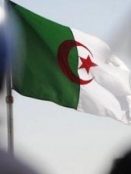 الجزائر 