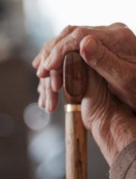 _104225441_f1a237f6-05e9-4ef3-ad70-59e3de6638d0