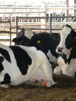 f54dbef7fd7f8b77dd68625a70abc830