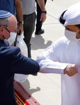 اسرائيل والعرب 