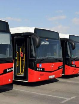 الحجاج الفلسطينيين 