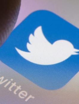 image_15433703081056101988