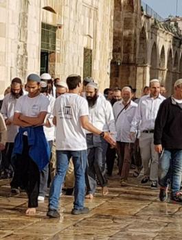 اقتحام المستوطنين للمسجد الأقصى المبارك 