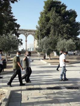 اقتحامات المستوطنين للمسجد الاقصى 