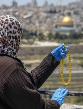 الولايات المتحدة وكندا وفلسطين 